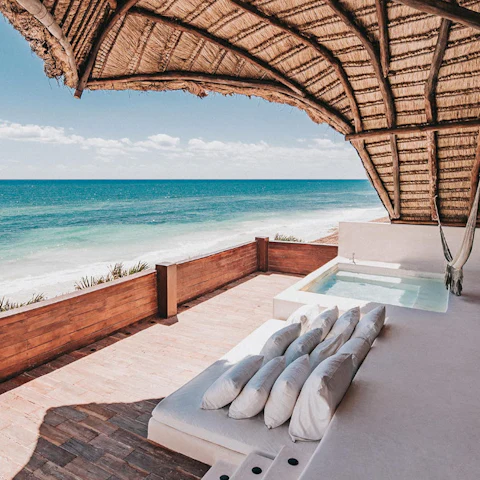 Papaya Playa Project