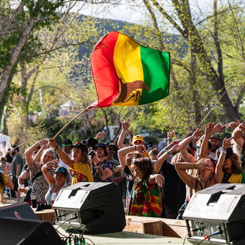 Rise & Vibes Festival