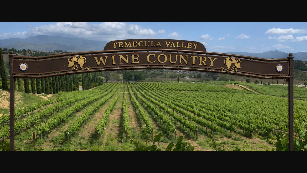 Temecula Wine Tours