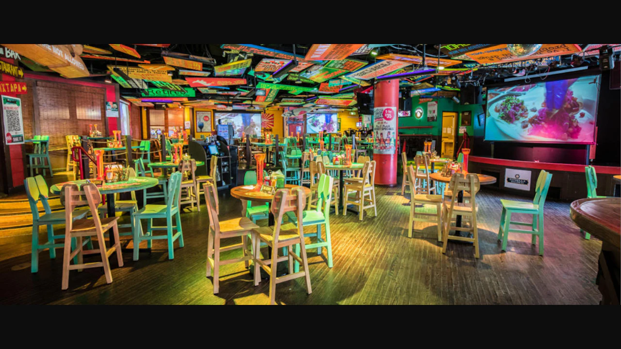 Senor Frogs