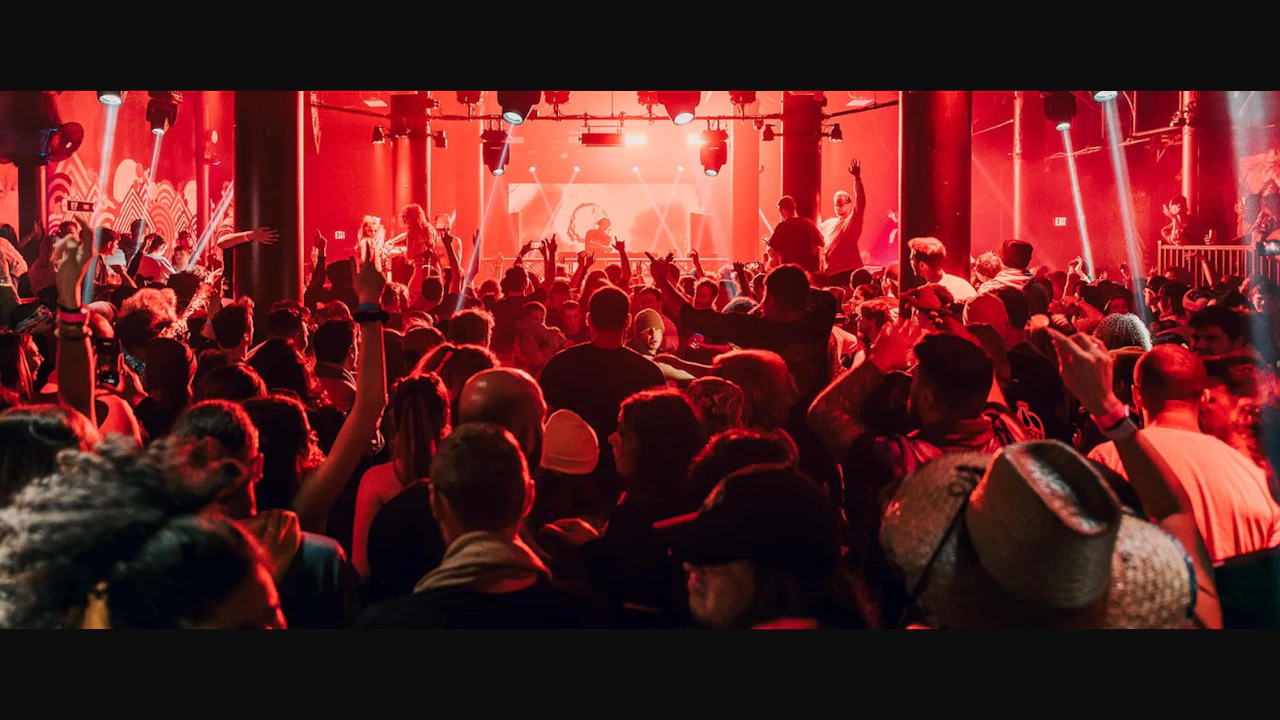 The Ave Live