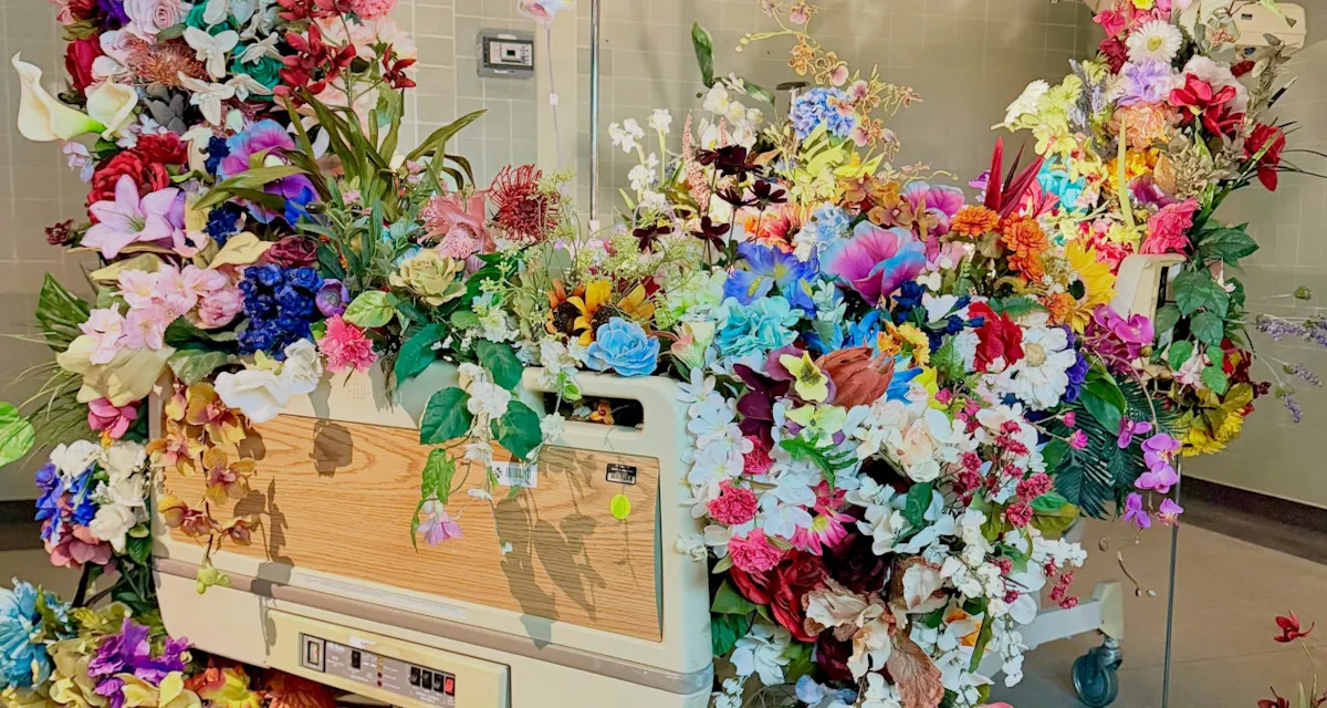 Hospital of Emotions photo
