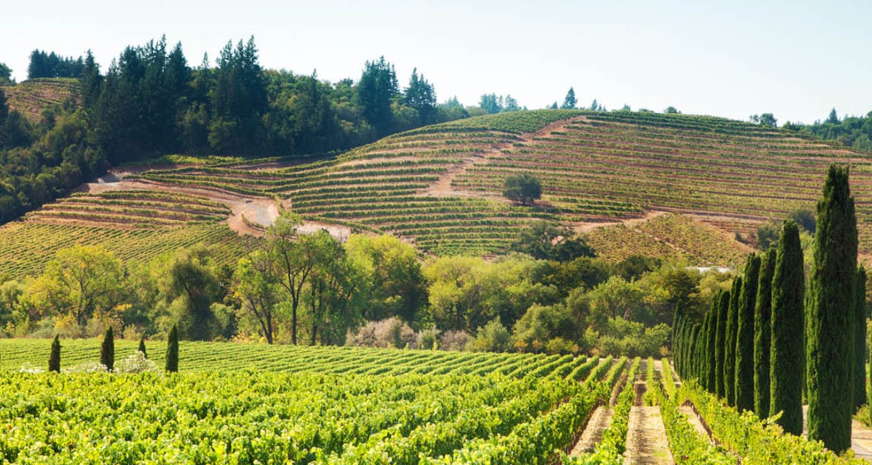 Napa Concerts & Events