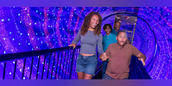 Museum of Illusions