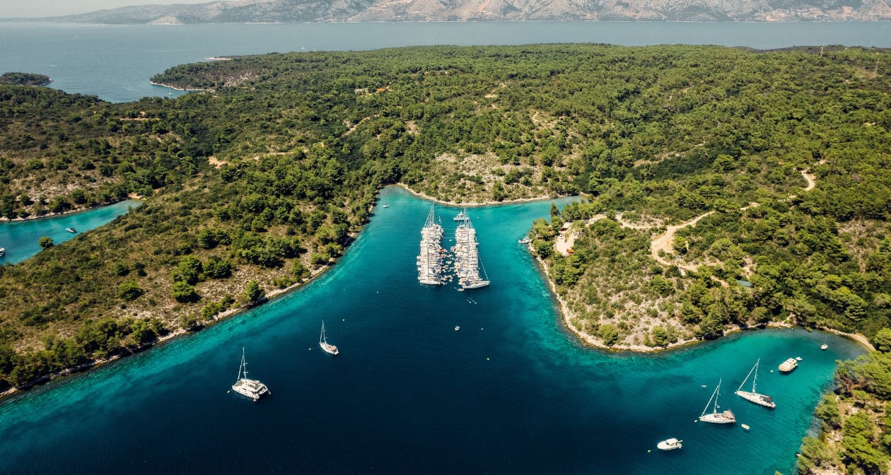 The Yacht Week