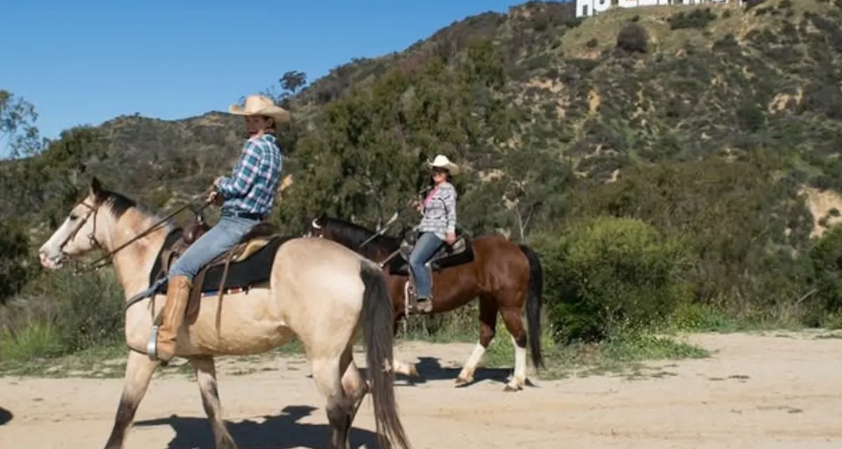 Hollywood Horseback Tours photo