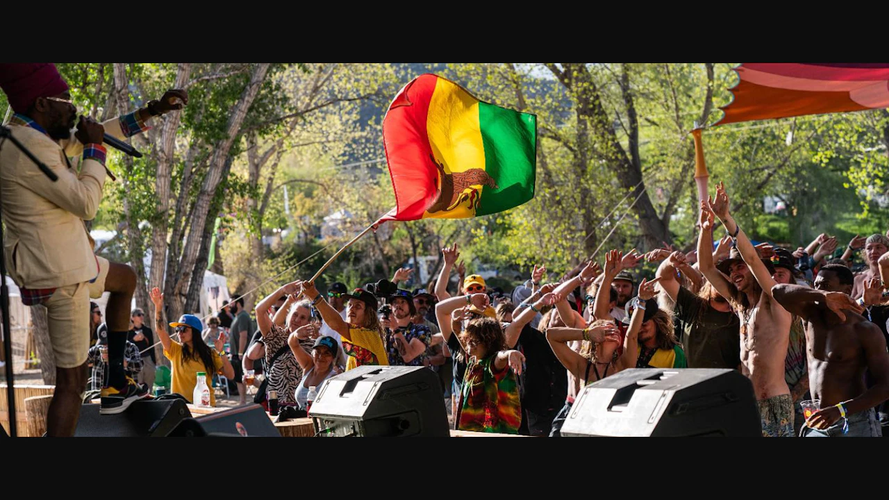 Rise & Vibes Festival