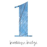 1 Hotel Brooklyn Bridge