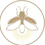 Vagalume Beach Club logo
