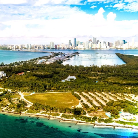 We Belong Here Festival