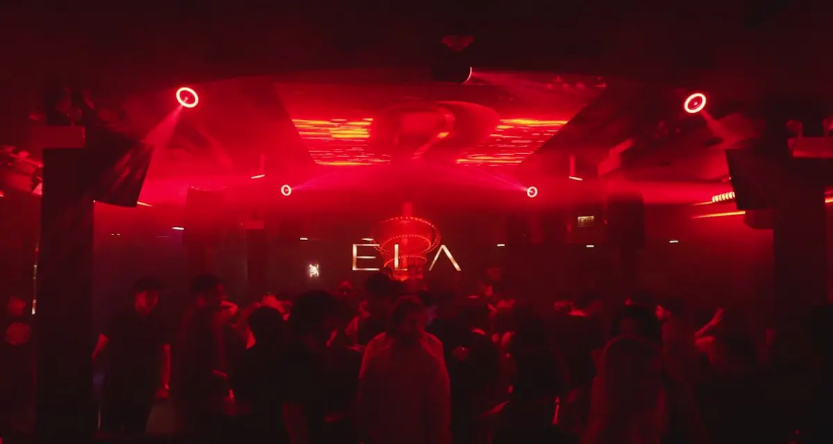 Ela (Chicago) photo