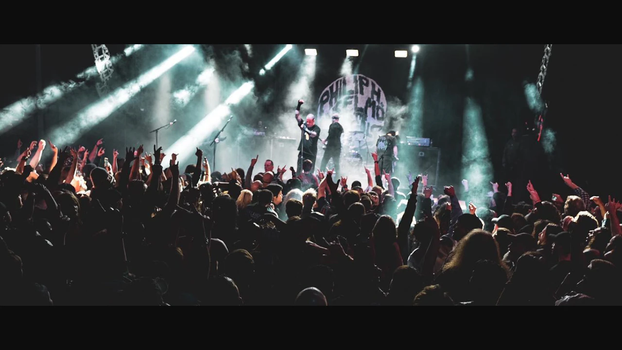 Amplified Live