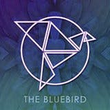 The BlueBird logo