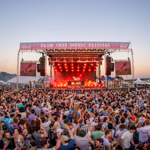 Palm Tree Festival