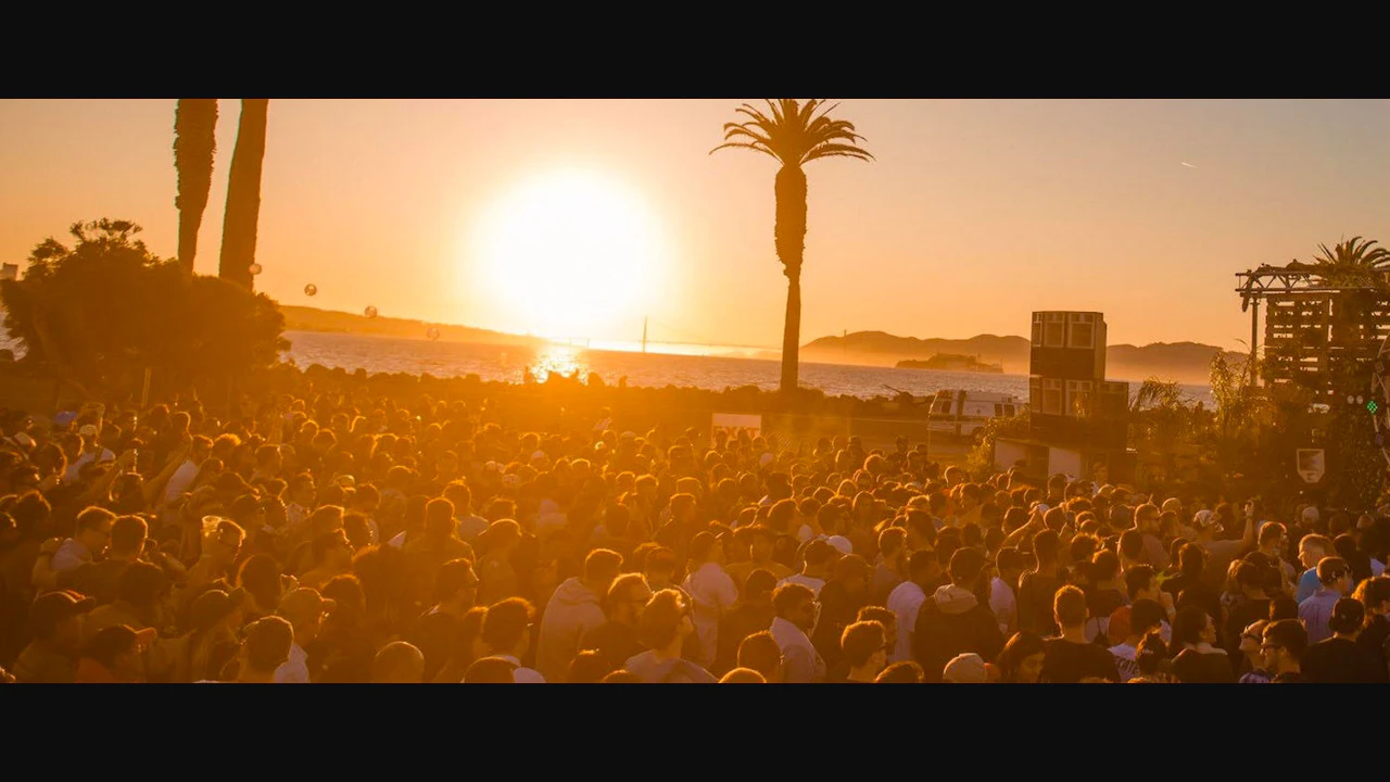 Day to Night Festival