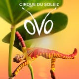 OVO Cirque Du Soleil