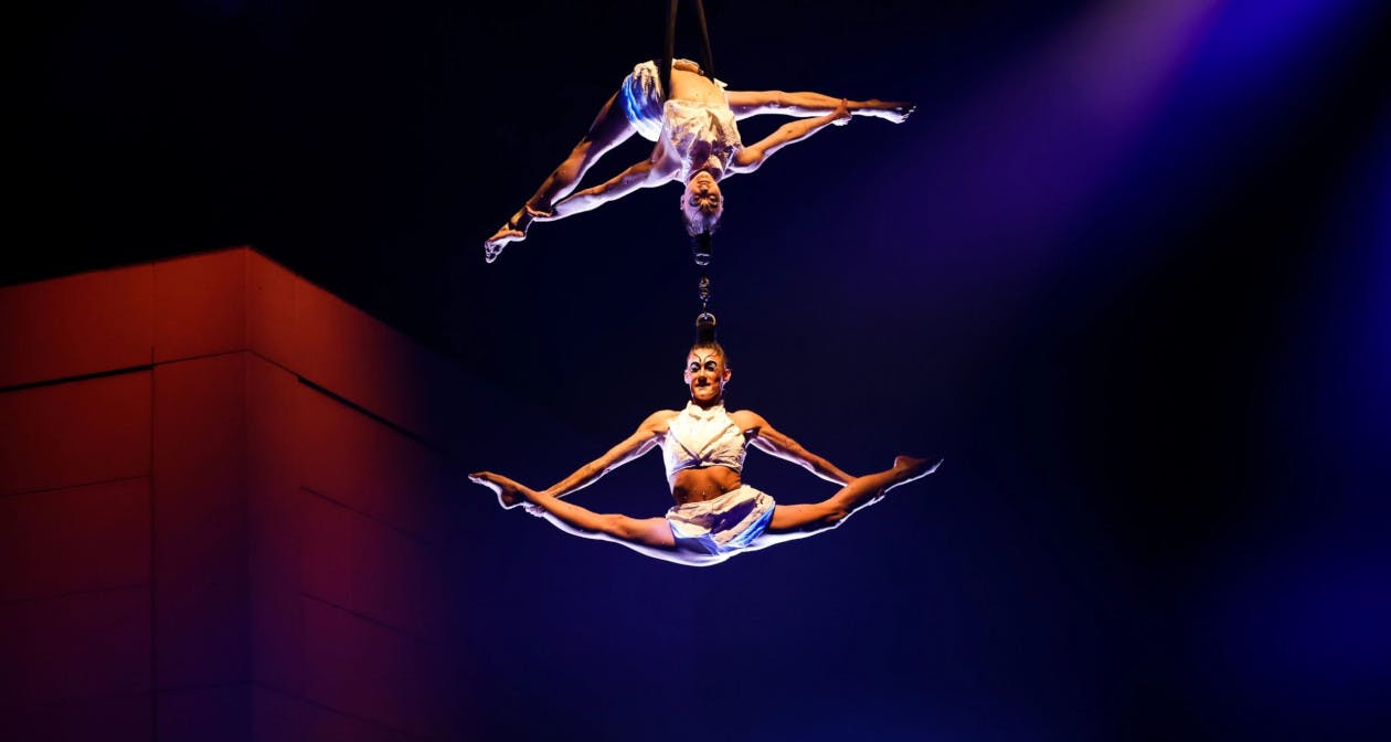 Echo By Cirque Du Soleil