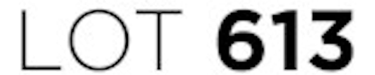 Lot 613