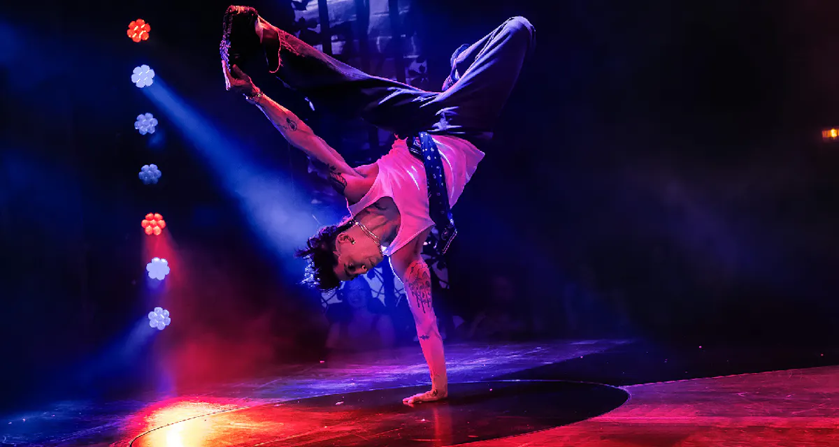 Magic Mike Live photo