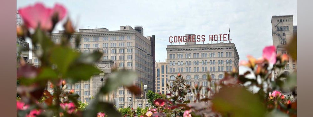 Primary Image