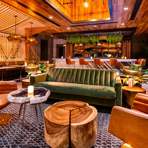 Cottontail Lounge At The W