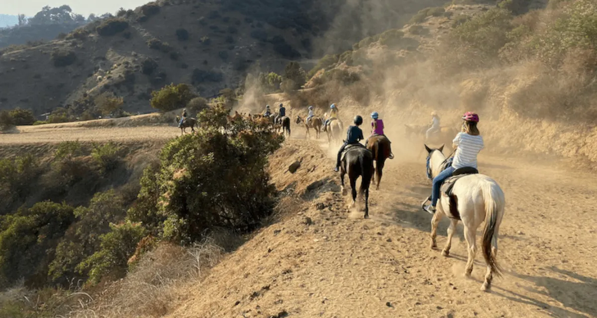 Hollywood Horseback Tours photo