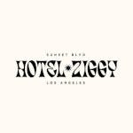 Hotel Ziggy