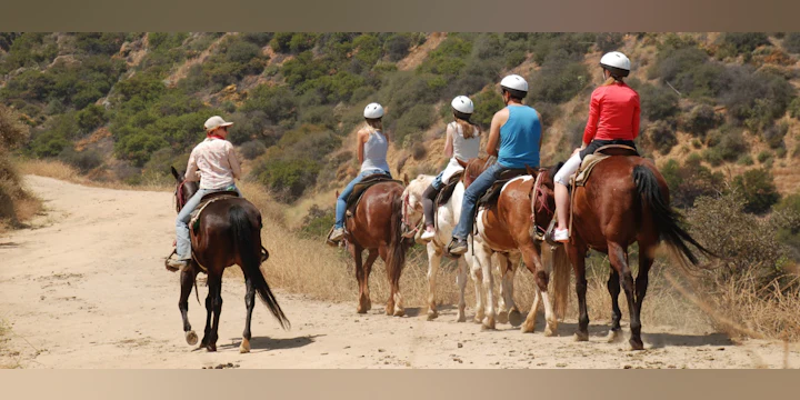 Hollywood Horseback Tours