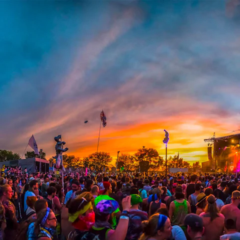 Summer Camp Festival