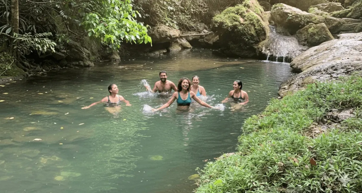 Puerto Rico Tours photo