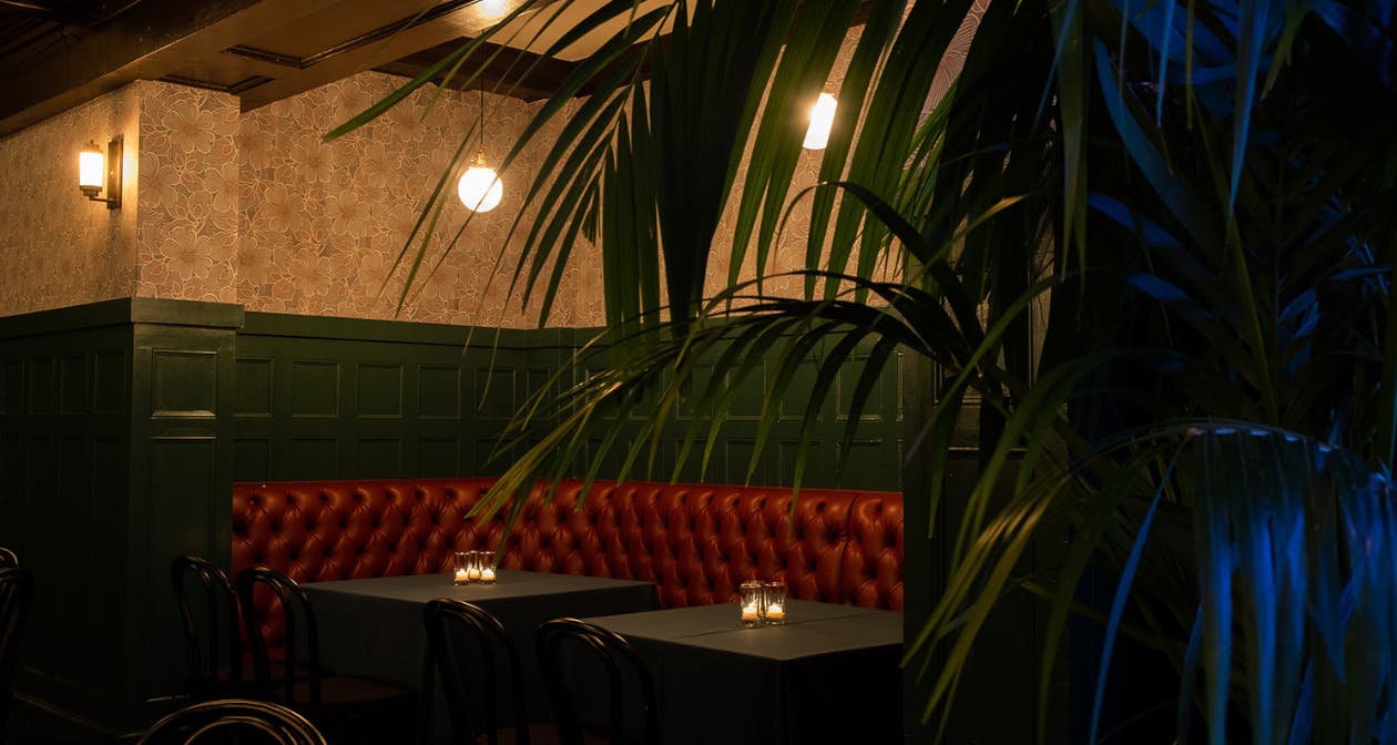 Cafe Du Nord