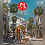 PH Dayclub (Penthouse)