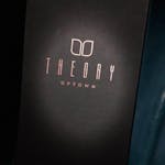 Theory