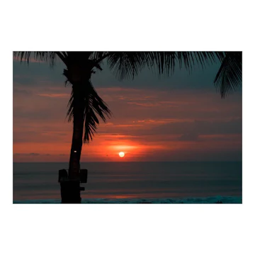 Potato Head Beach Club