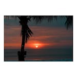 Potato Head Beach Club