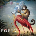 Poppy