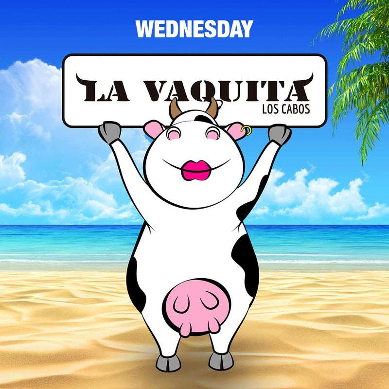 Vaquita Wednesdays
