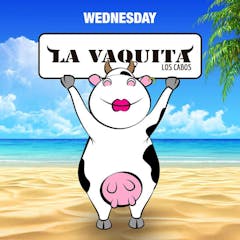 La Vaquita