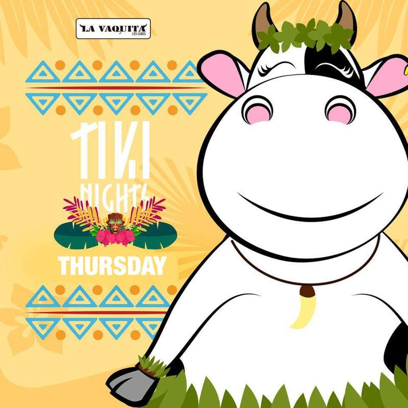 Vaquita Tuesdays
