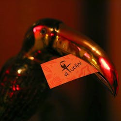El Tucan