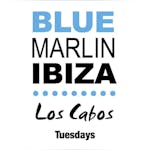 Blue Marlin Ibiza