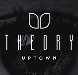 Theory