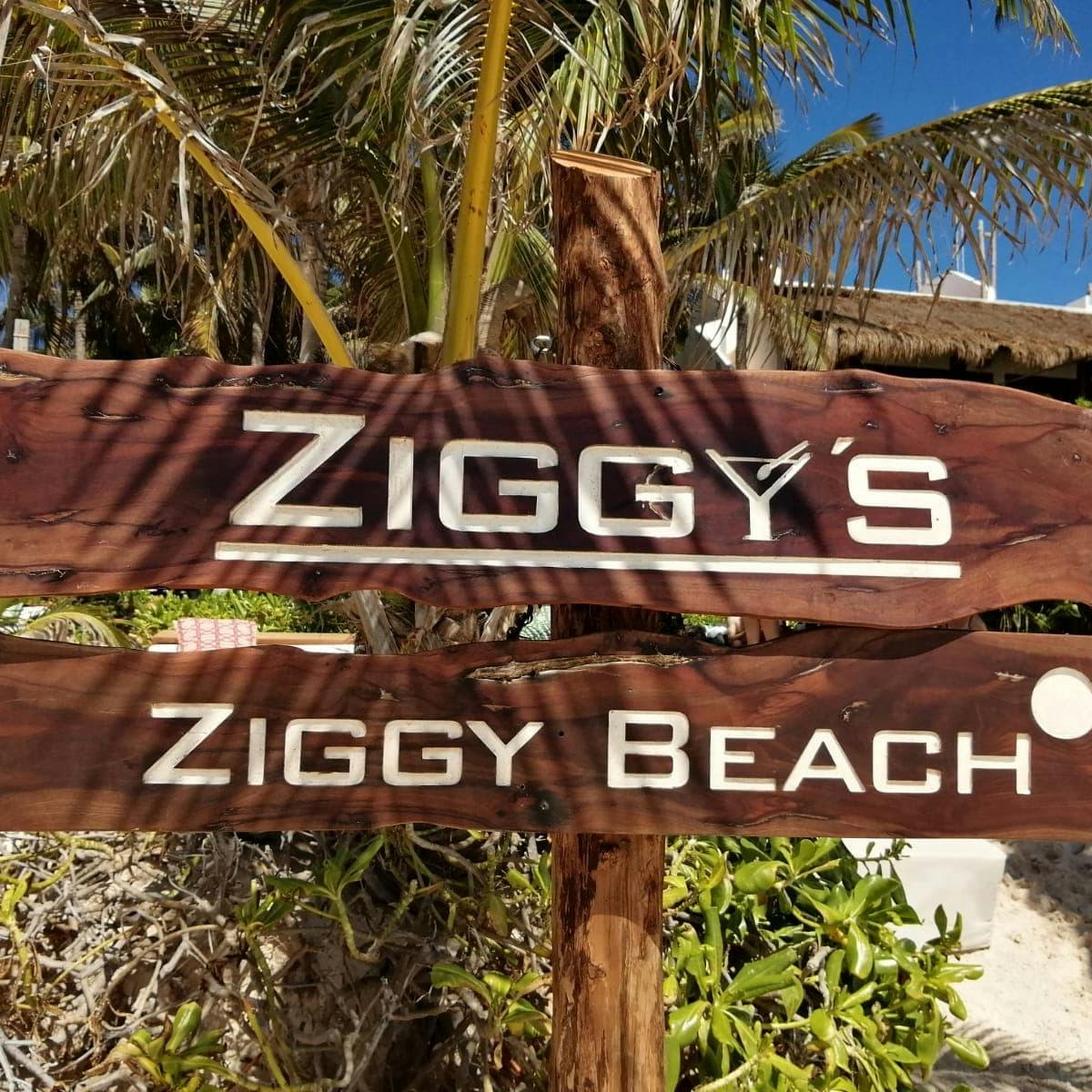 Ziggy's Sundays