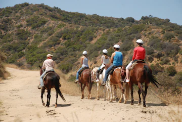 Hollywood Horseback Tours