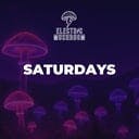 Electric Mushroom Saturdays