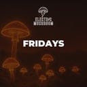 Electric Mushroom Fridays