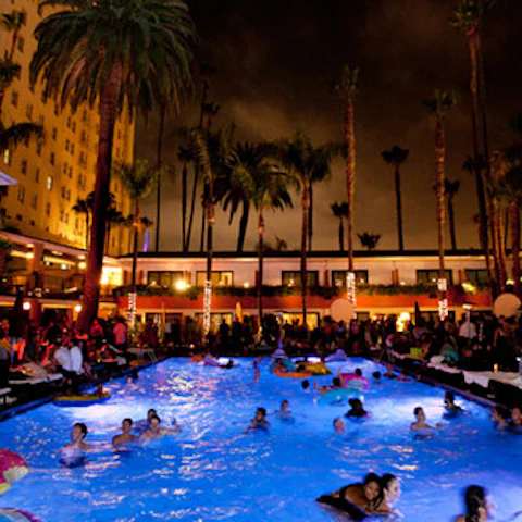 Tropicana Pool At The Roosevelt